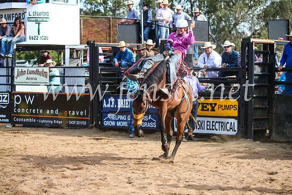 CoonambleRodeoCampdraftSun_3475