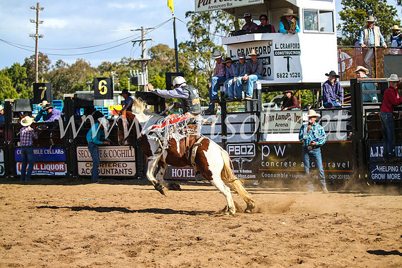 CoonambleRodeoCampdraftSun_3327