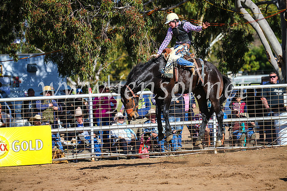 CoonambleRodeoCampdraftSun_3173