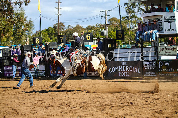 CoonambleRodeoCampdraftSun_3332