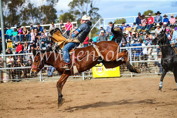 CoonambleRodeoCampdraftSun_3441