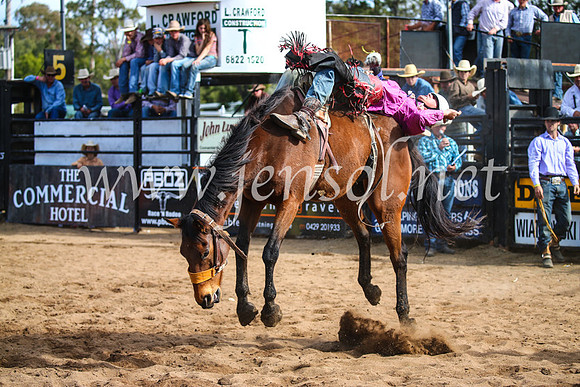 CoonambleRodeoCampdraftSun_3478