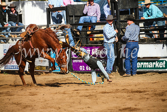 CoonambleRodeoCampdraftSun_2522