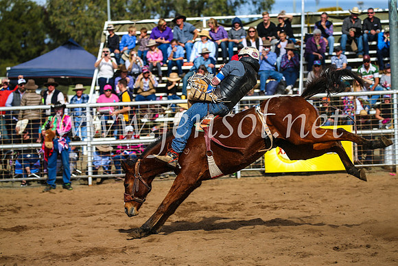 CoonambleRodeoCampdraftSun_3389