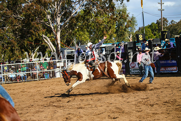 CoonambleRodeoCampdraftSun_3320