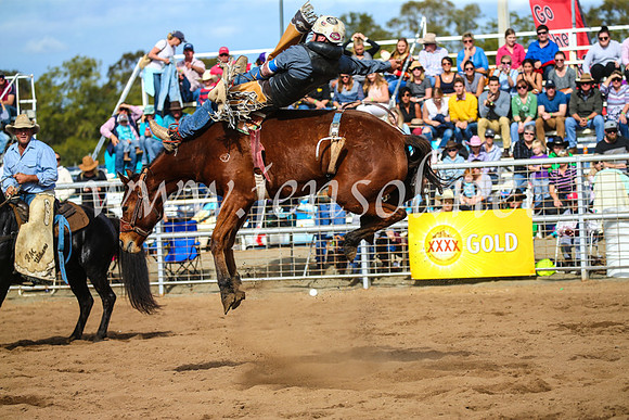 CoonambleRodeoCampdraftSun_3423