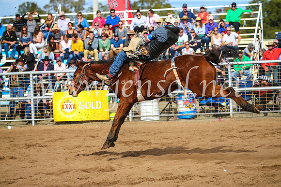 CoonambleRodeoCampdraftSun_3413