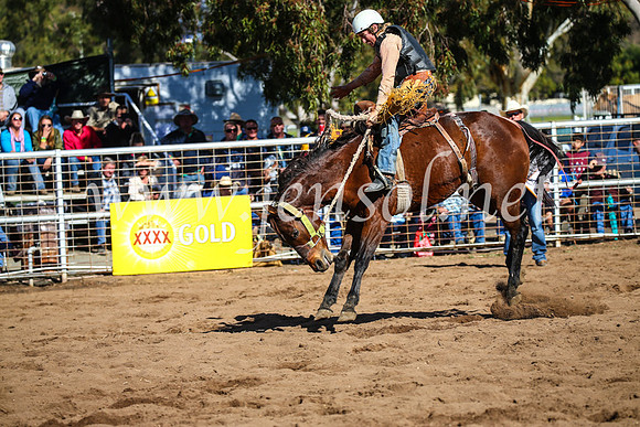 CoonambleRodeoCampdraftSun_3222