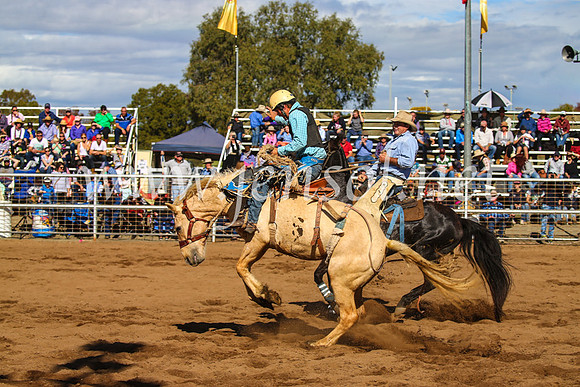 CoonambleRodeoCampdraftSun_3314