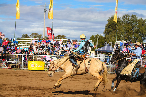 CoonambleRodeoCampdraftSun_3308
