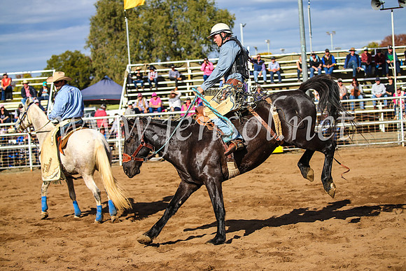 CoonambleRodeoCampdraftSun_2530