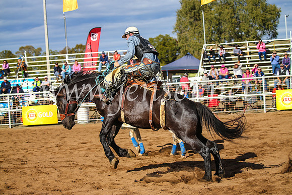 CoonambleRodeoCampdraftSun_2540