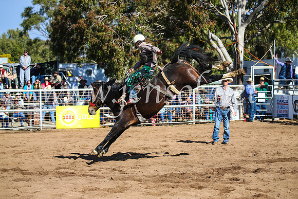 CoonambleRodeoCampdraftSun_3258