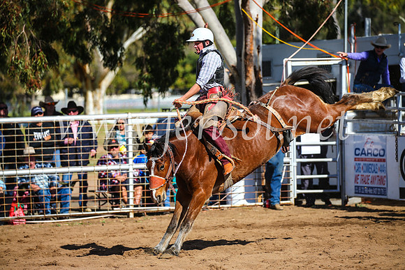 CoonambleRodeoCampdraftSun_3197