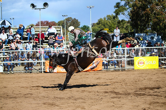CoonambleRodeoCampdraftSun_3285