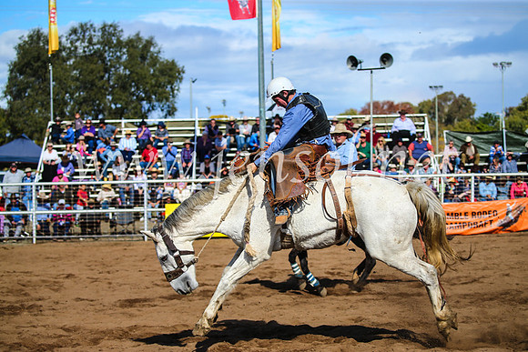 CoonambleRodeoCampdraftSun_3355