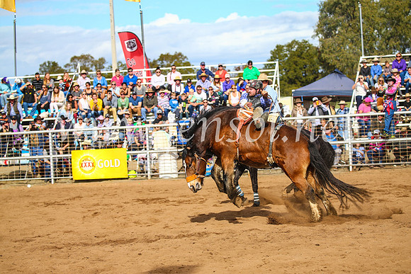 CoonambleRodeoCampdraftSun_3367