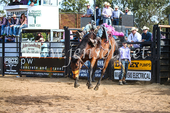 CoonambleRodeoCampdraftSun_3471