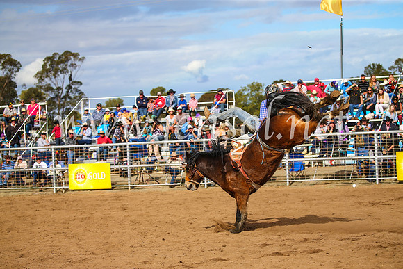 CoonambleRodeoCampdraftSun_3372