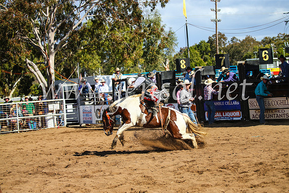 CoonambleRodeoCampdraftSun_3319