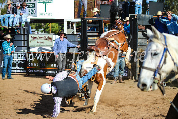 CoonambleRodeoCampdraftSun_2564