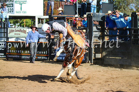 CoonambleRodeoCampdraftSun_2567