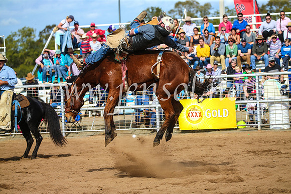 CoonambleRodeoCampdraftSun_3405