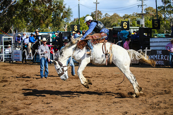 CoonambleRodeoCampdraftSun_3345