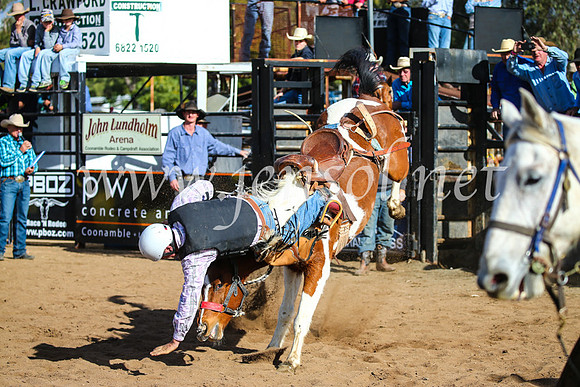 CoonambleRodeoCampdraftSun_2570