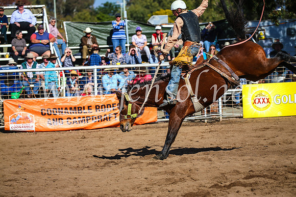CoonambleRodeoCampdraftSun_3237
