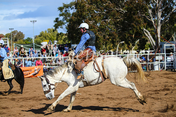 CoonambleRodeoCampdraftSun_3336