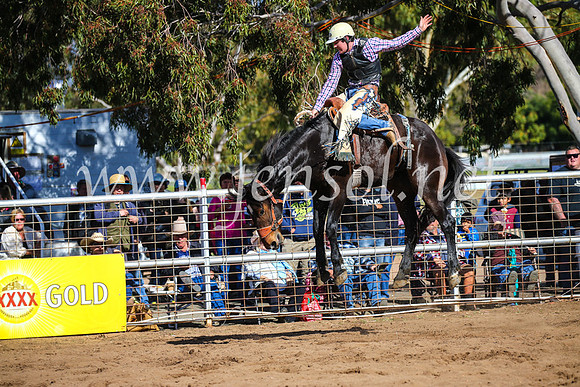 CoonambleRodeoCampdraftSun_3185