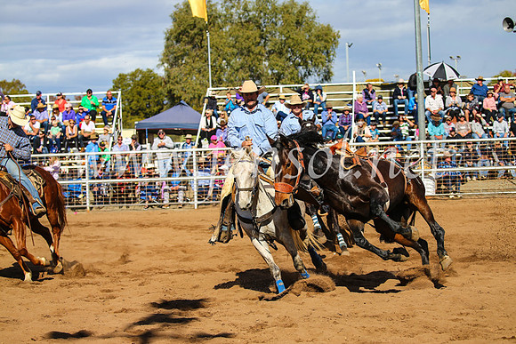 CoonambleRodeoCampdraftSun_3195
