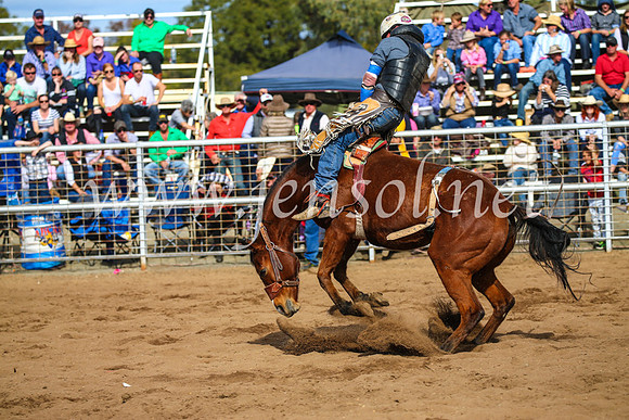 CoonambleRodeoCampdraftSun_3391