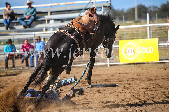 CoonambleRodeoCampdraftSun_2542