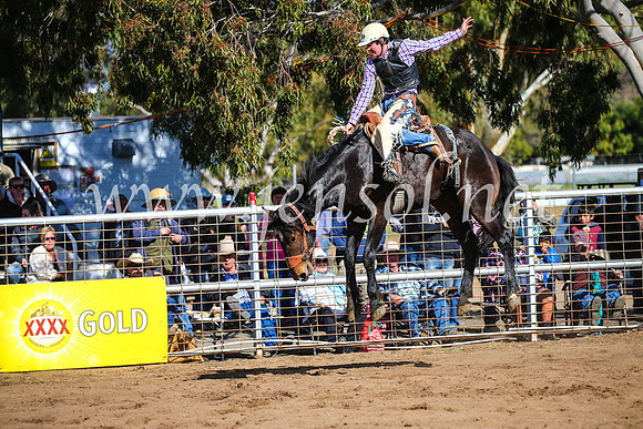 CoonambleRodeoCampdraftSun_3183