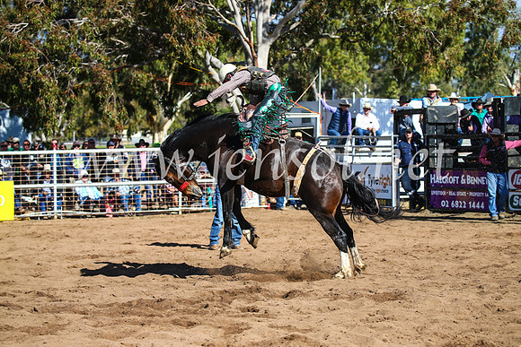 CoonambleRodeoCampdraftSun_3263
