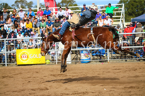 CoonambleRodeoCampdraftSun_3412