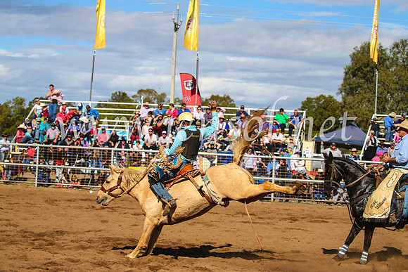 CoonambleRodeoCampdraftSun_3312