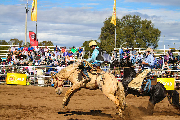 CoonambleRodeoCampdraftSun_3315