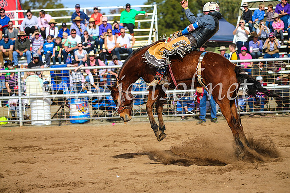 CoonambleRodeoCampdraftSun_3408