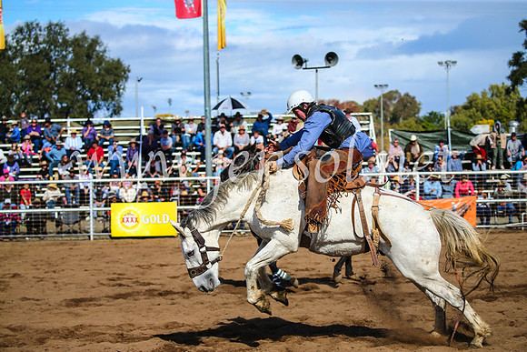 CoonambleRodeoCampdraftSun_3340