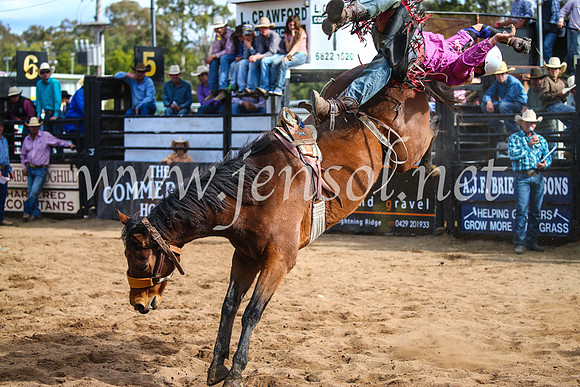 CoonambleRodeoCampdraftSun_3481