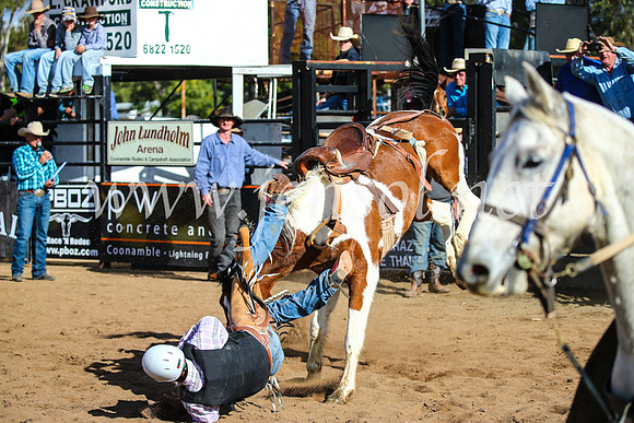 CoonambleRodeoCampdraftSun_2568