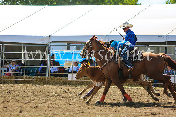 QueanbeyanRodeo2017_5307