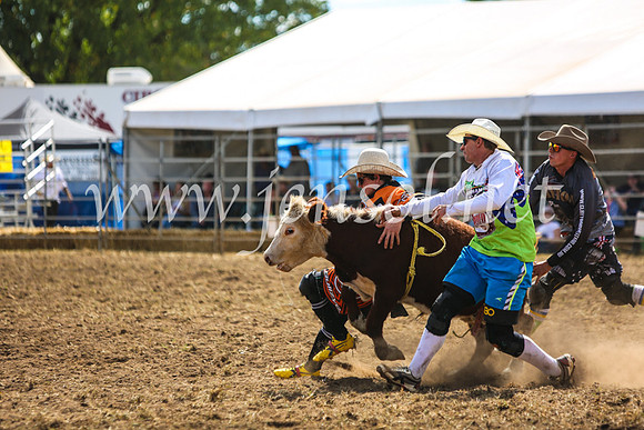 QueanbeyanRodeo2017_5282