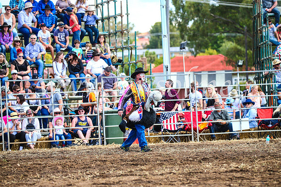 QueanbeyanRodeo2017_2534