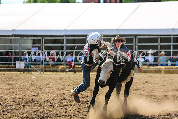 QueanbeyanRodeo2017_5289