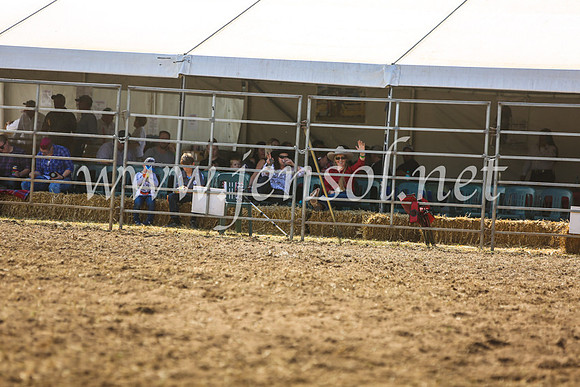 QueanbeyanRodeo2017_5316