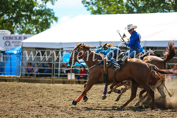 QueanbeyanRodeo2017_5303